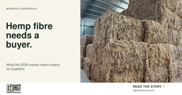 Stacks of baled plant stalk material inside a storage shed. HEMPGenTech article card: Hemp fibre needs a buyer.