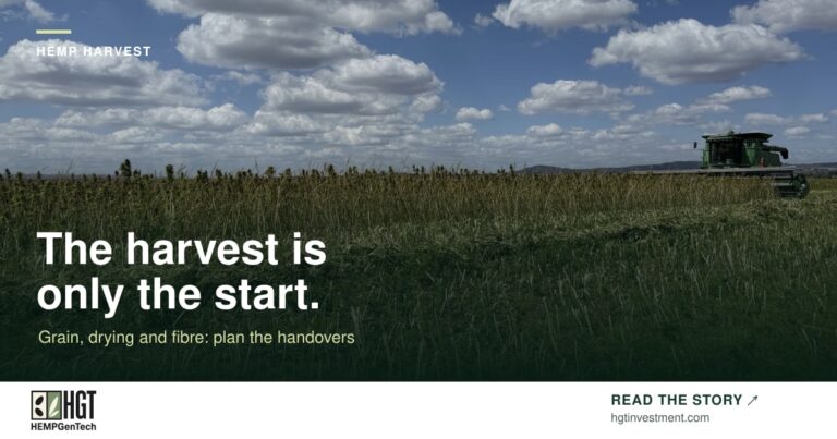 A combine harvester in a partly harvested field under a cloudy blue sky. HEMPGenTech article card: The harvest is only the start.