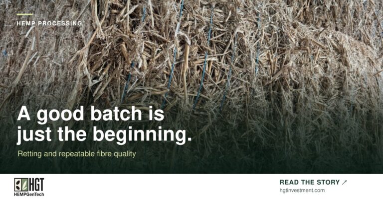 A close view of coarse baled stalk material. HEMPGenTech article card: A good batch is just the beginning.