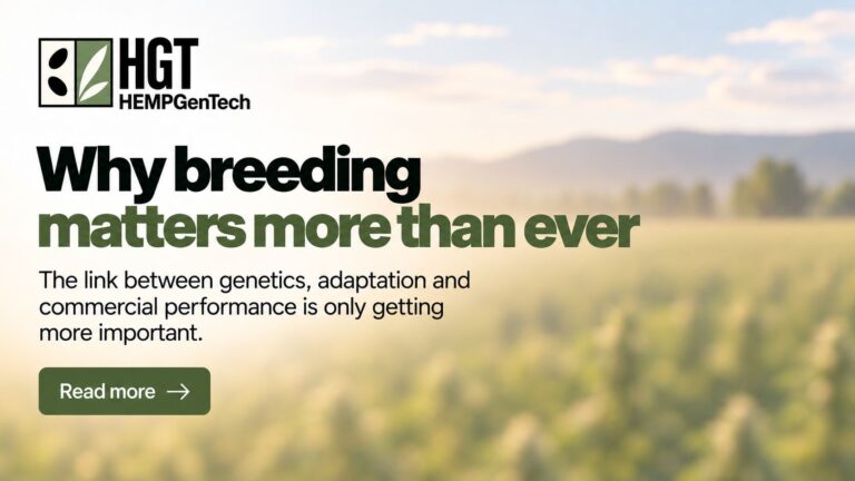 Hemp genetics and why breeding matters